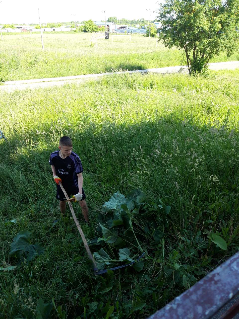 Муниципальное бюджетное учреждение, осуществляющее обучение, для  детей-сирот и детей, оставшихся без попечения родителей 