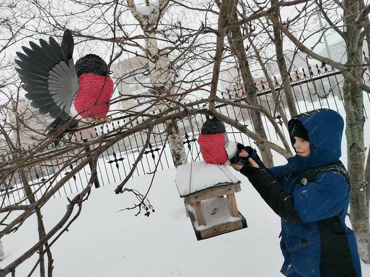 Покормите птиц зимой. Защита птиц зимой. Покорители птиц зимой. Акция Покормите птиц. Фотоконкурс Покормите птиц зимой.